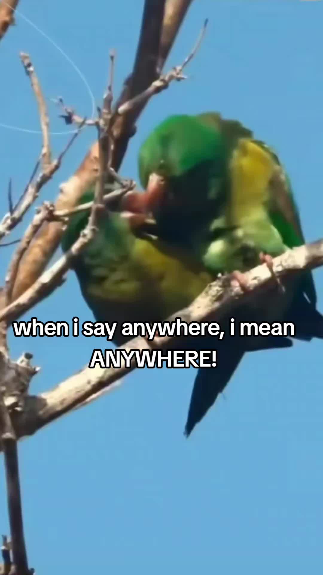 @Gabe