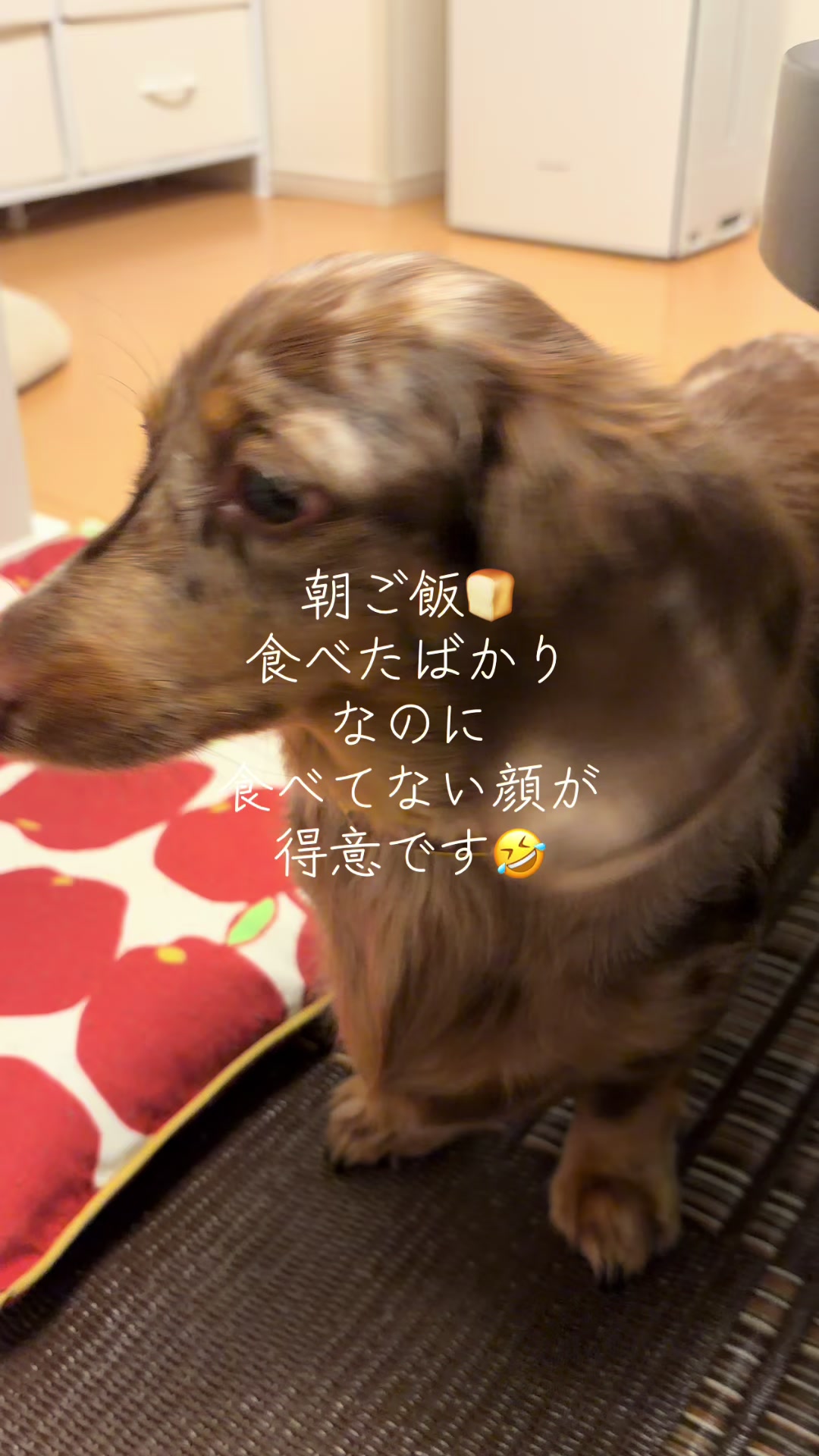 @ケン