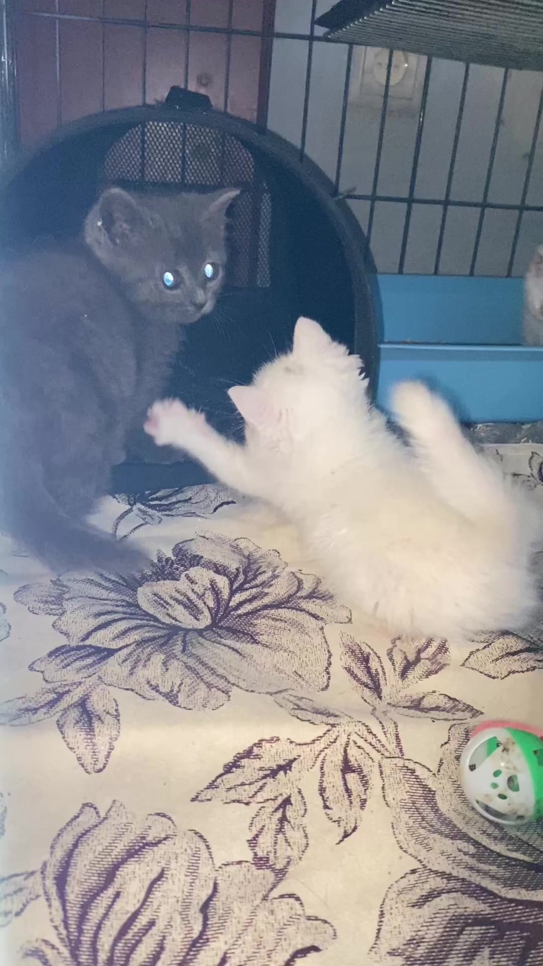 @Светлана М