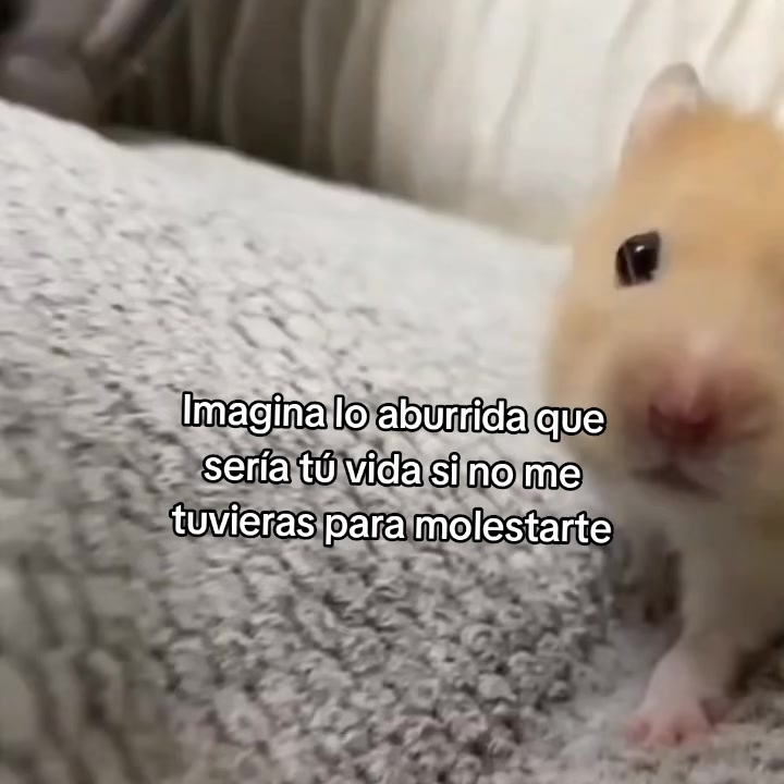 @goodvibessxd