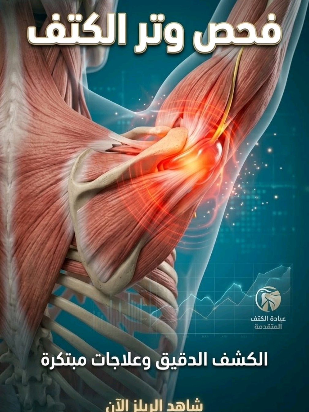 @BasharFlex