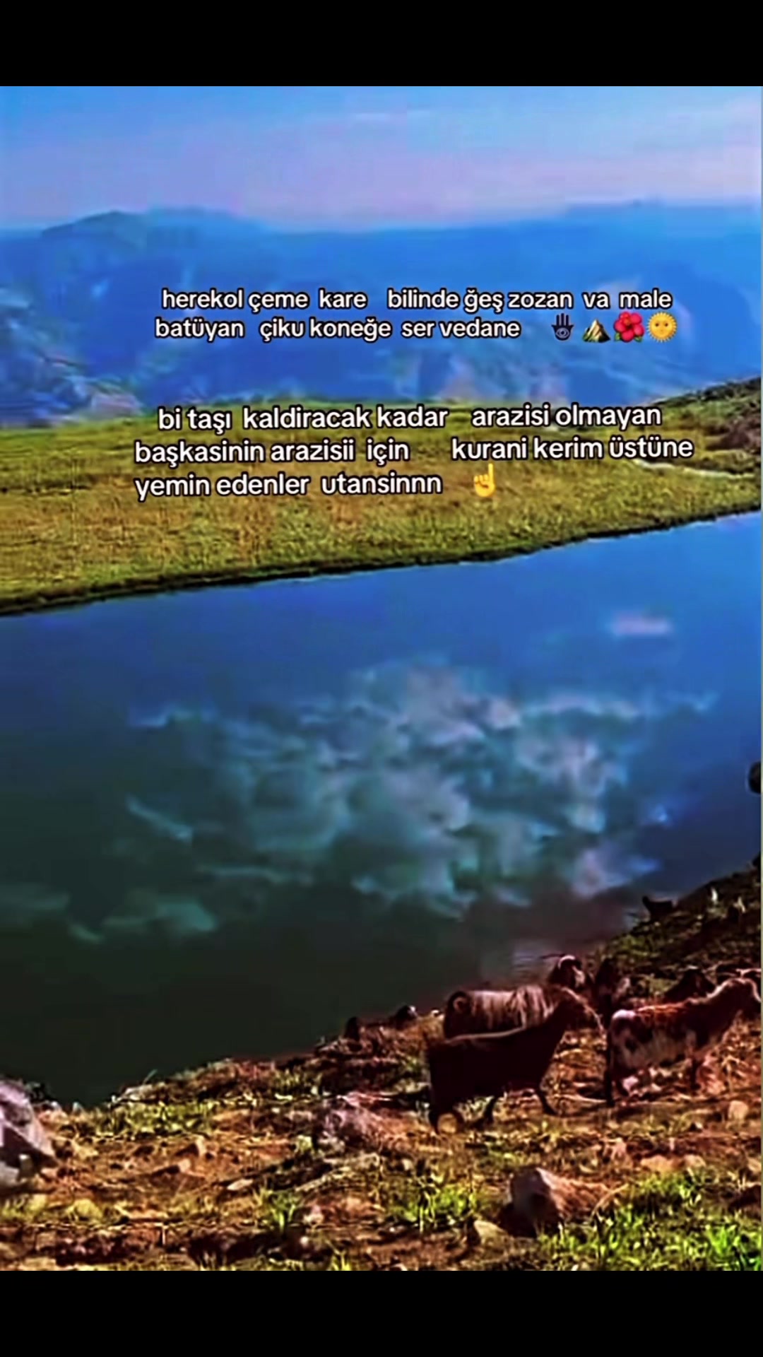 @ŞİYAR ✪