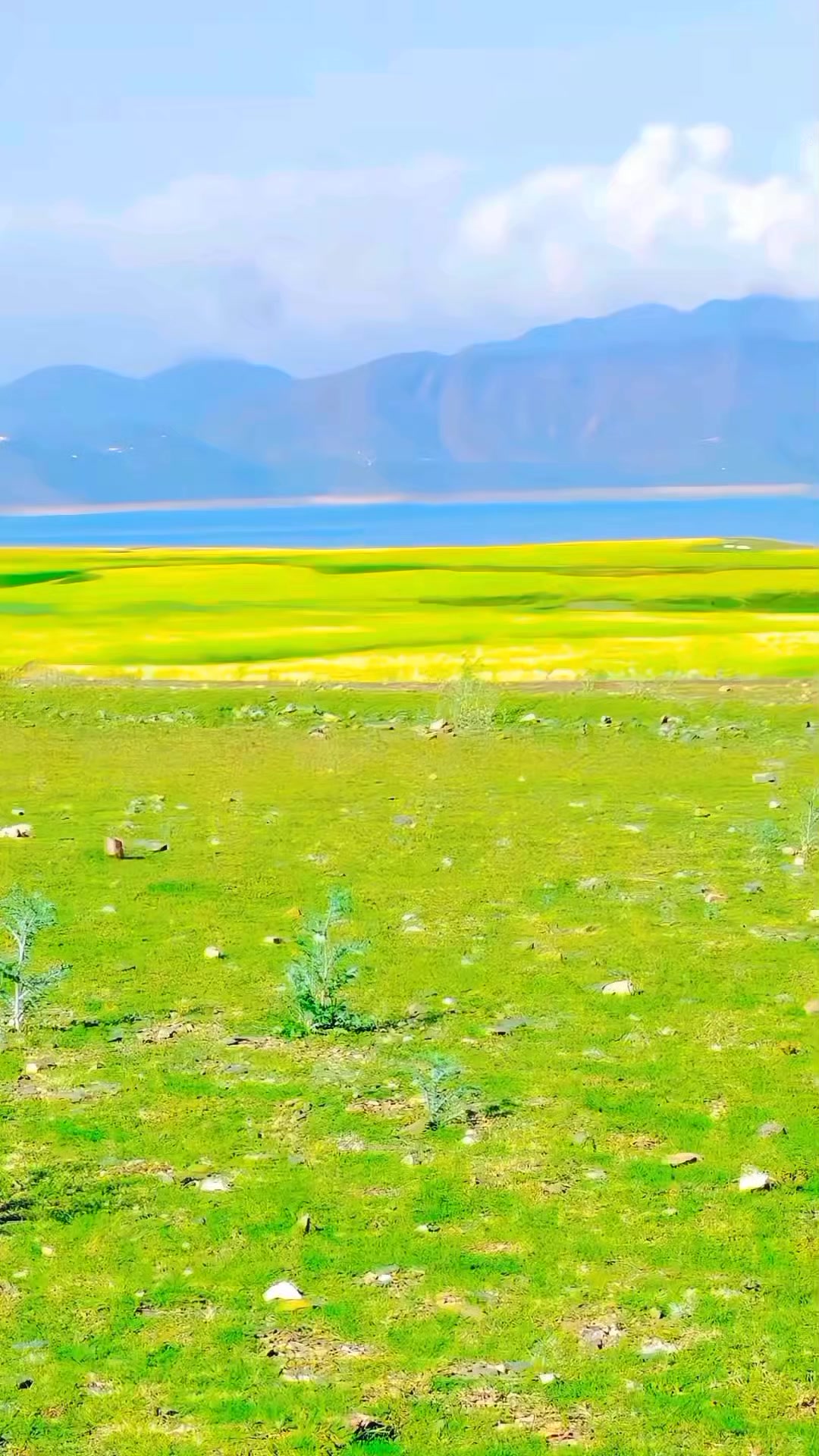 @Rehmanullah786