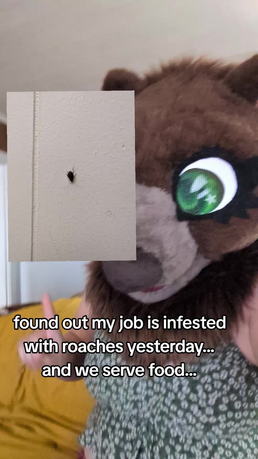 @April Bear