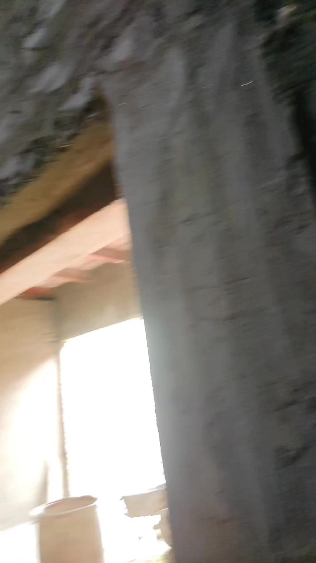@walimuhammad5025