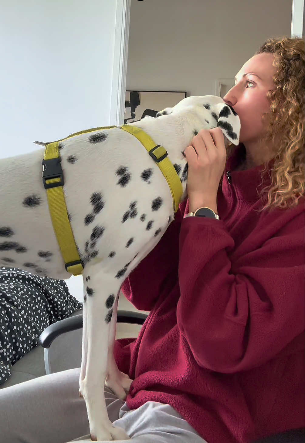 @Nevada the Dalmatian