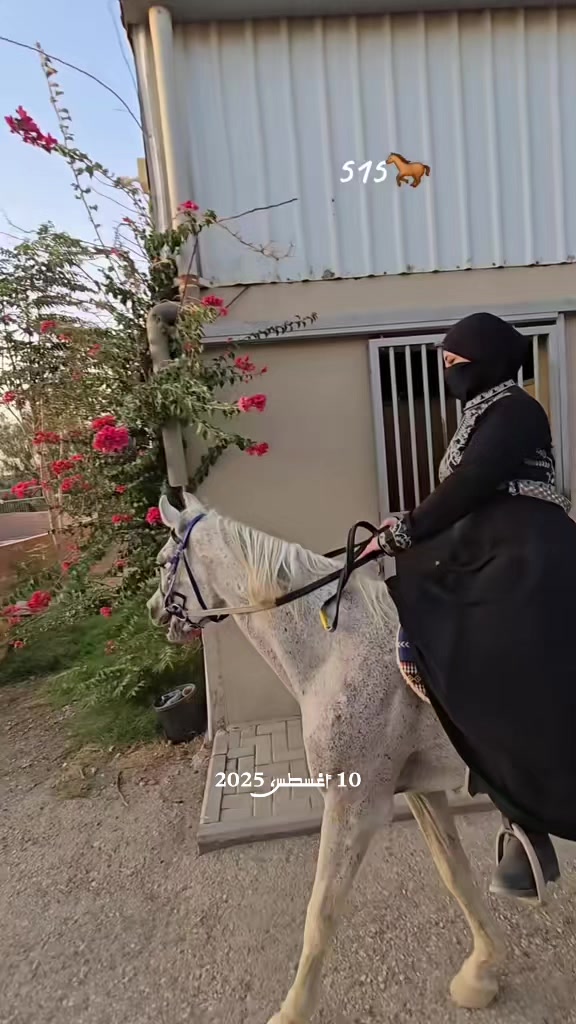 @الفارسة الملثمة 🐎🥷
