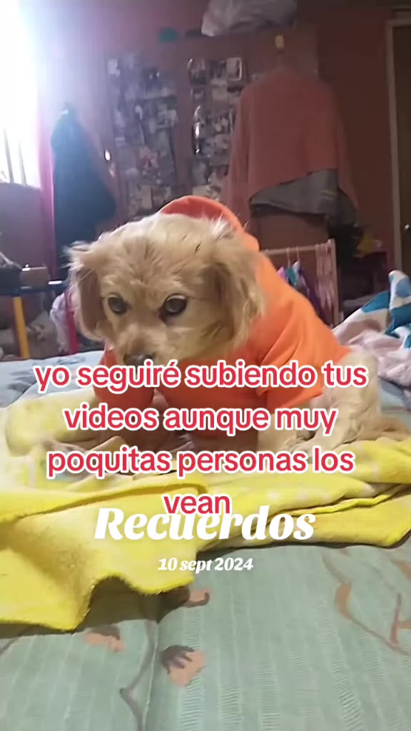 @Canelita@la bonita