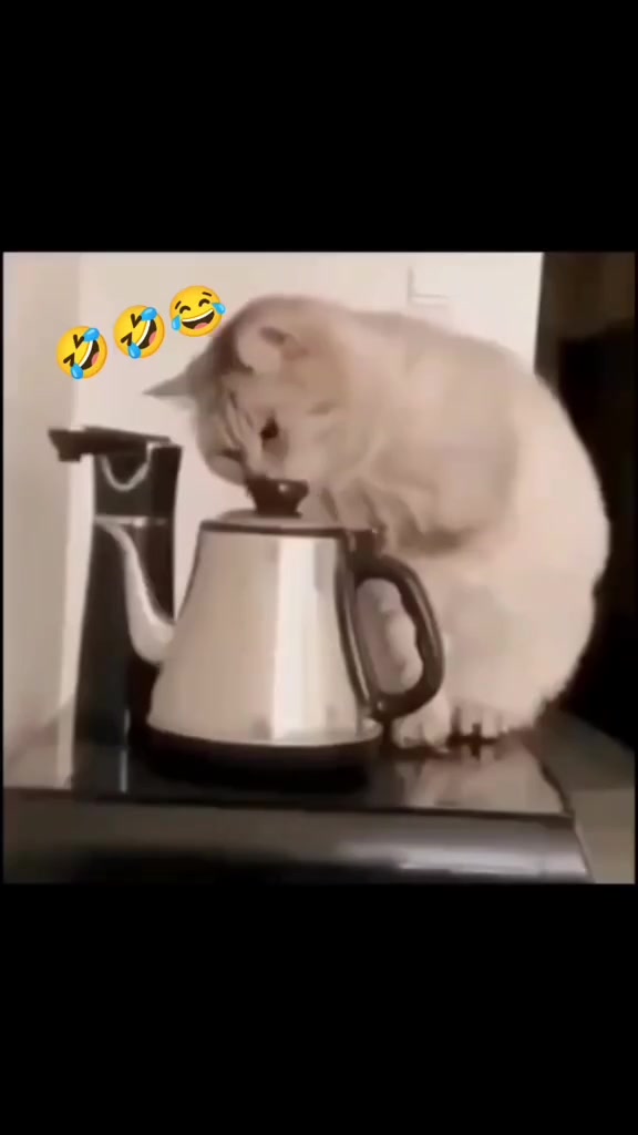 @Светлячок