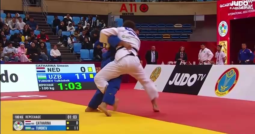 @mir_judo0