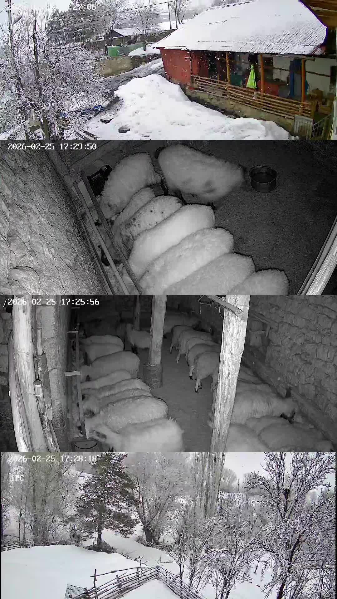 @Hüseyin URGAÇ