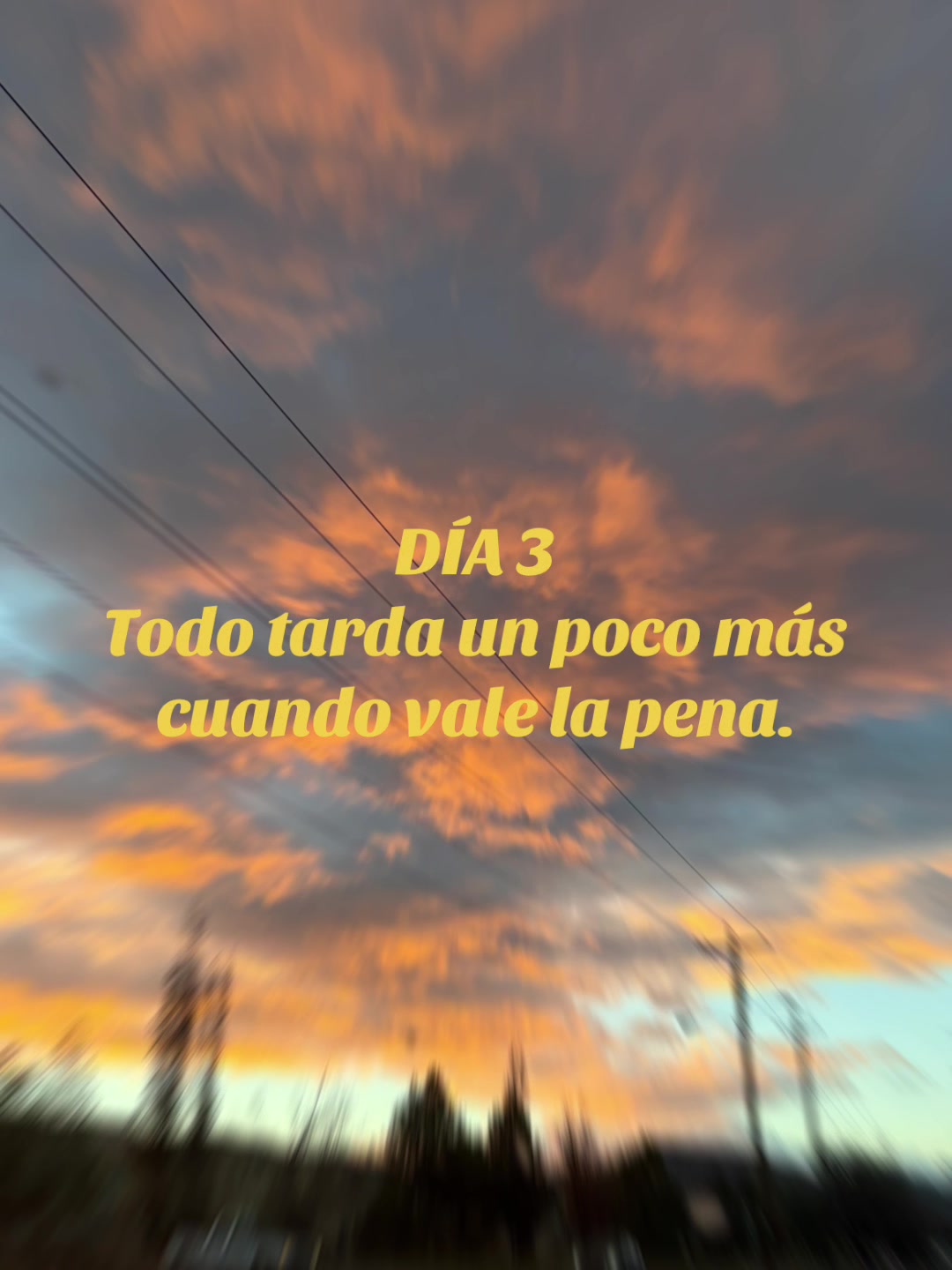 @Leo Reyes