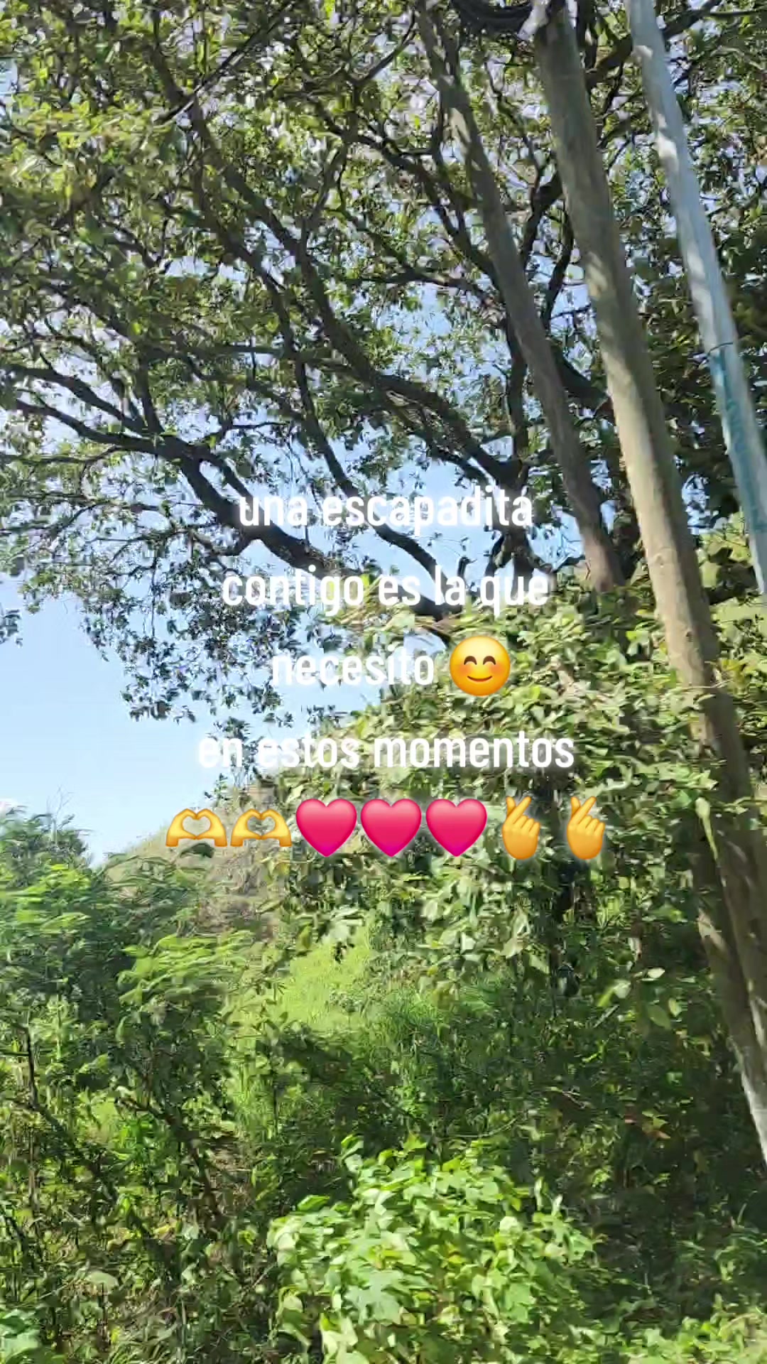 @❤️♡🅐🅝🅝🅨💮♡❤️