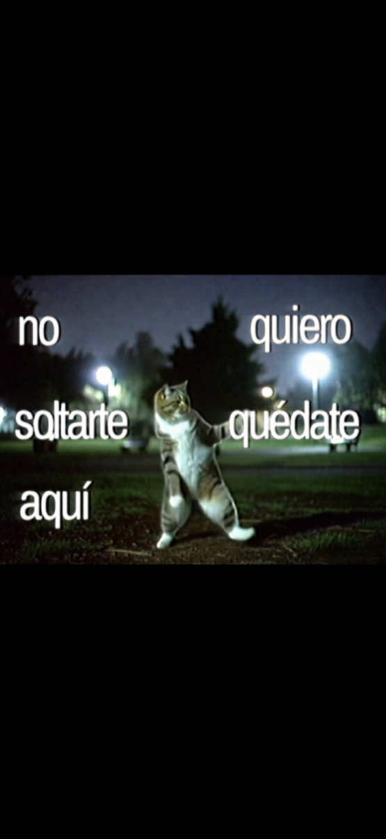 @jason
