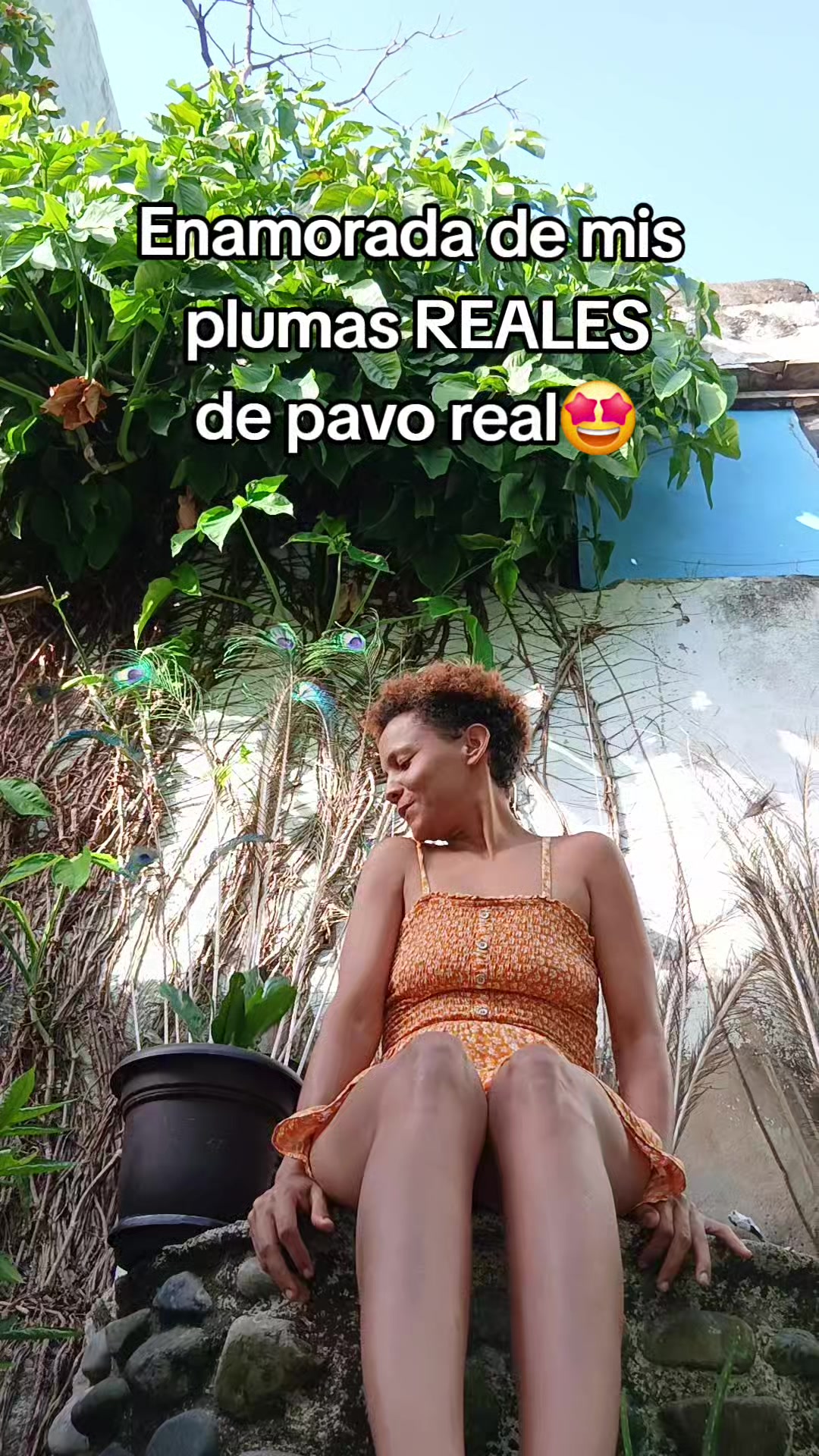 @betsyoficial