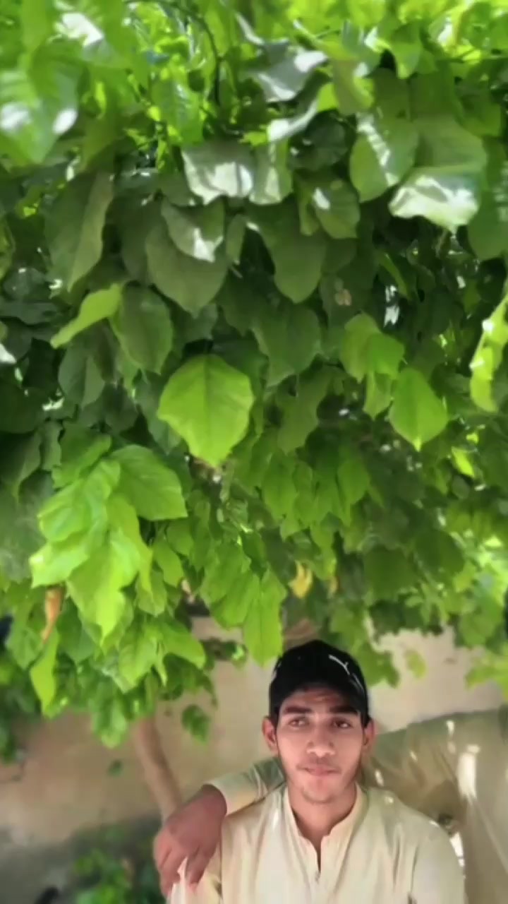 @چوہدری صاحب 😎🦅