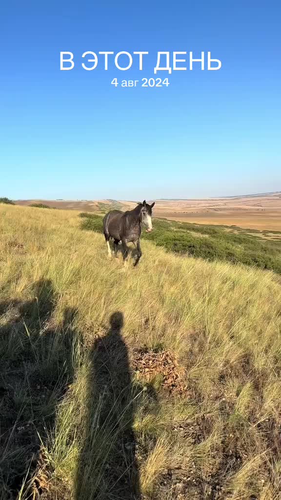 @MakvinStud