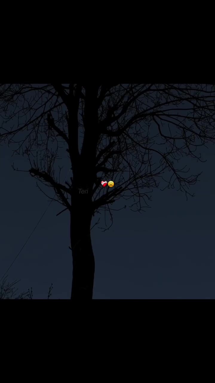 @B7F乛حسيب