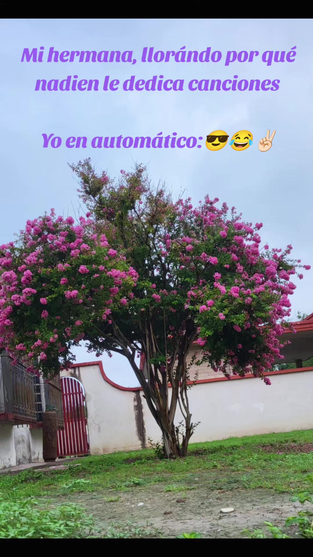 @Lidia Castillo