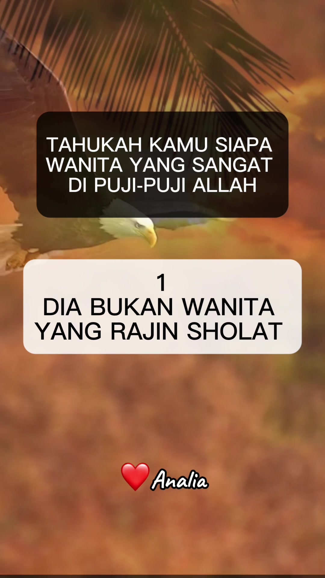 @Analia Kim