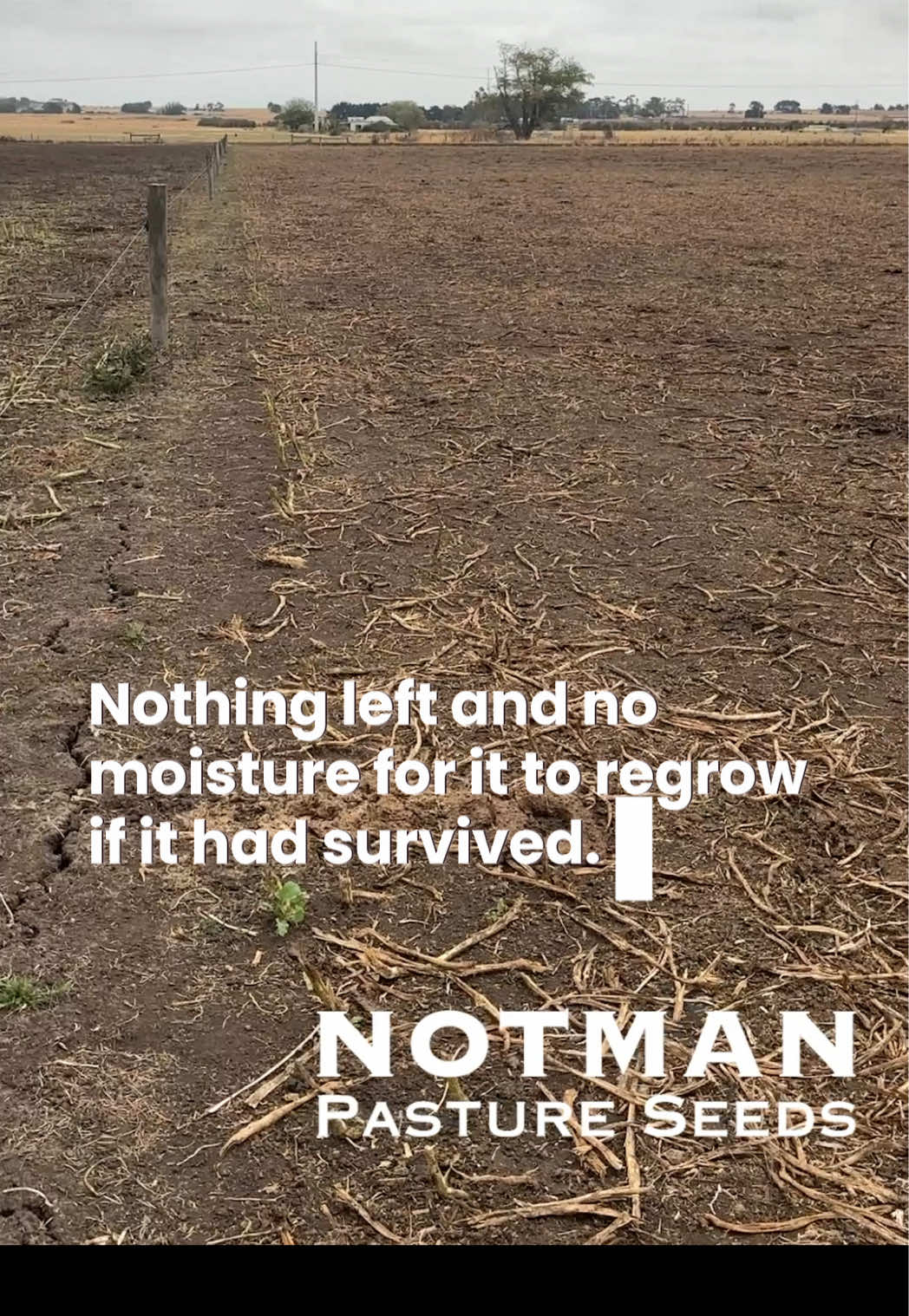 @notmanpasture