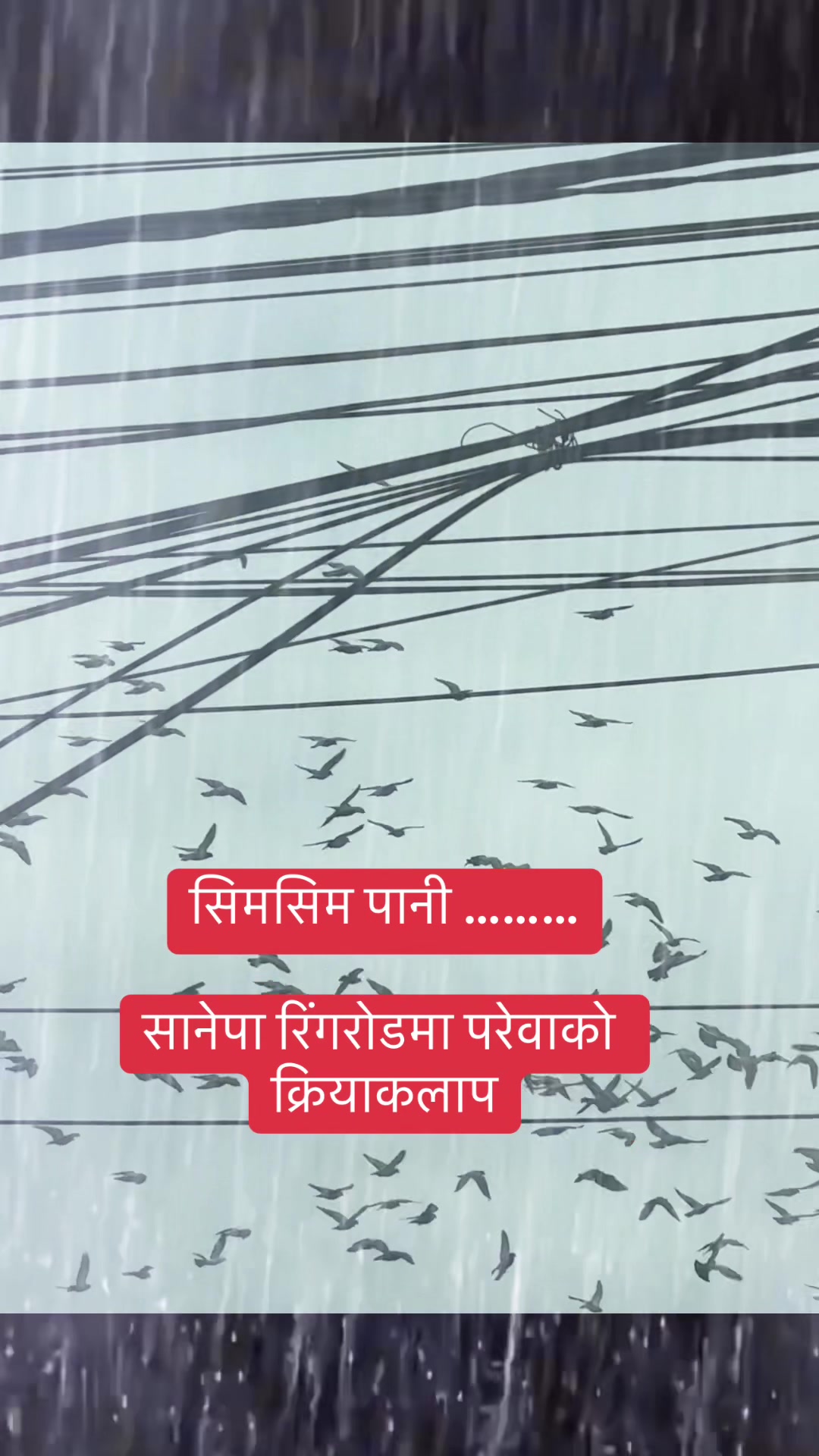 @Gyanendra Raj Sharma