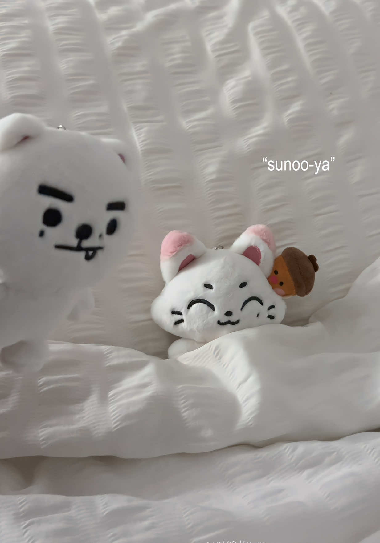 @sunookyuu