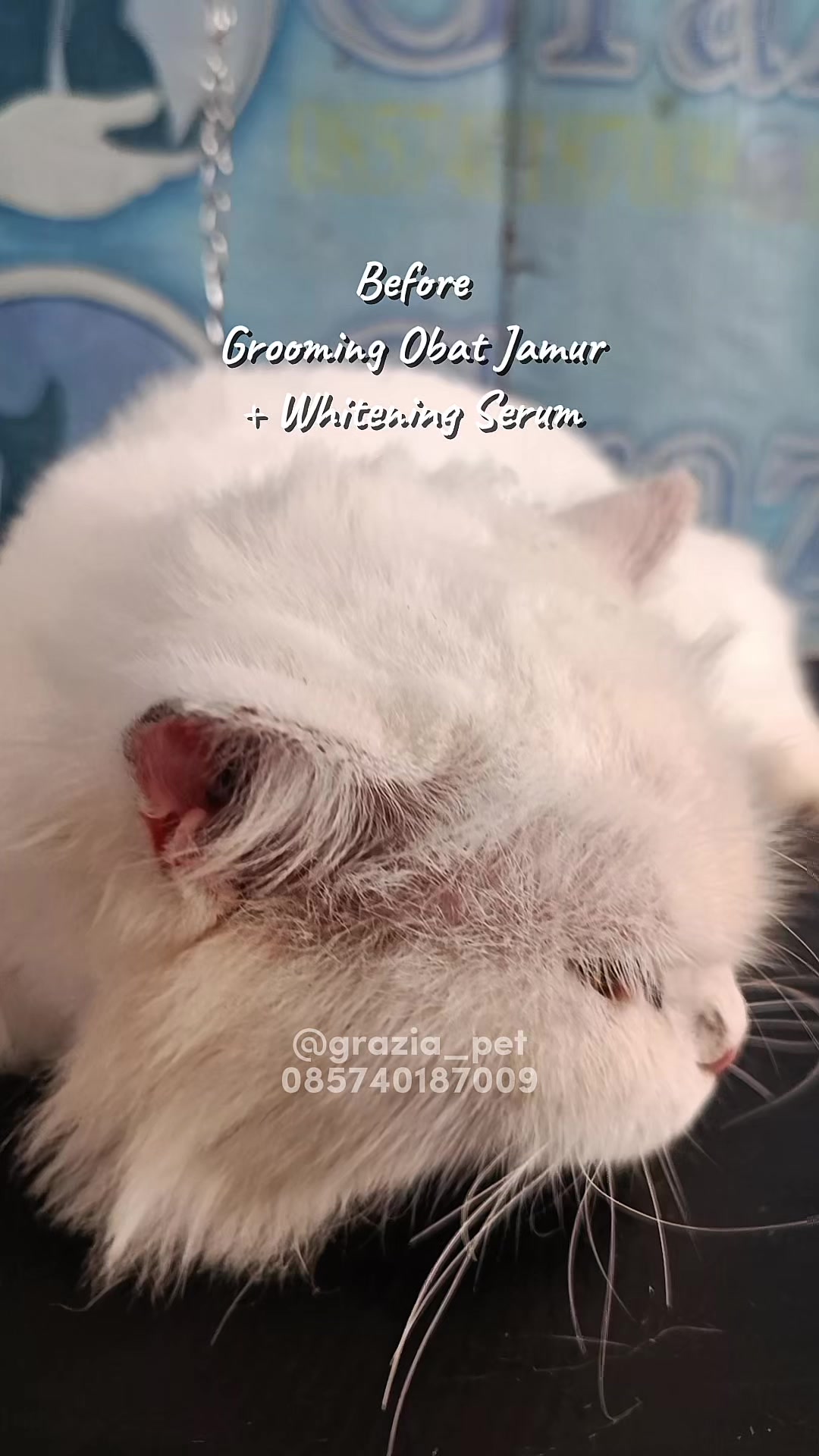 @Grazia Grooming Salatiga