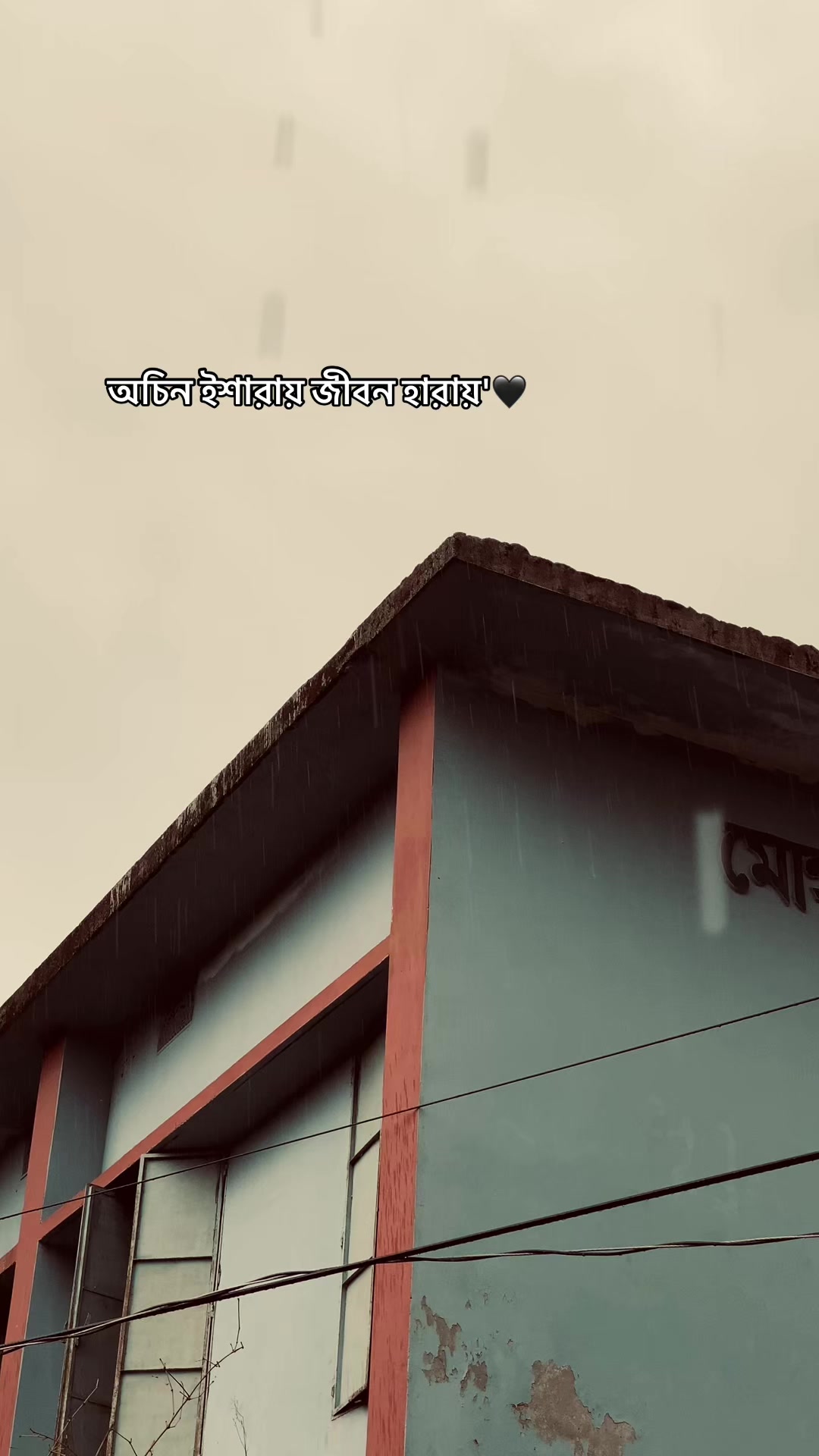 @_নিখোঁজ_