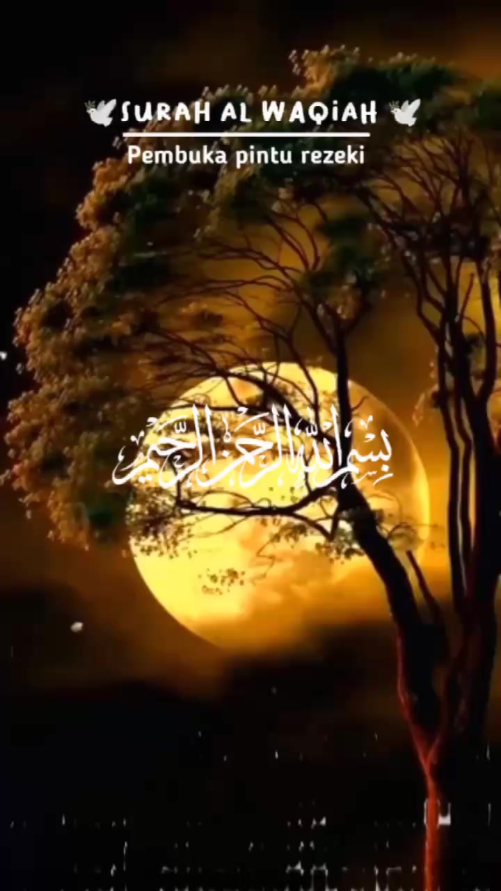 @Farida Far
