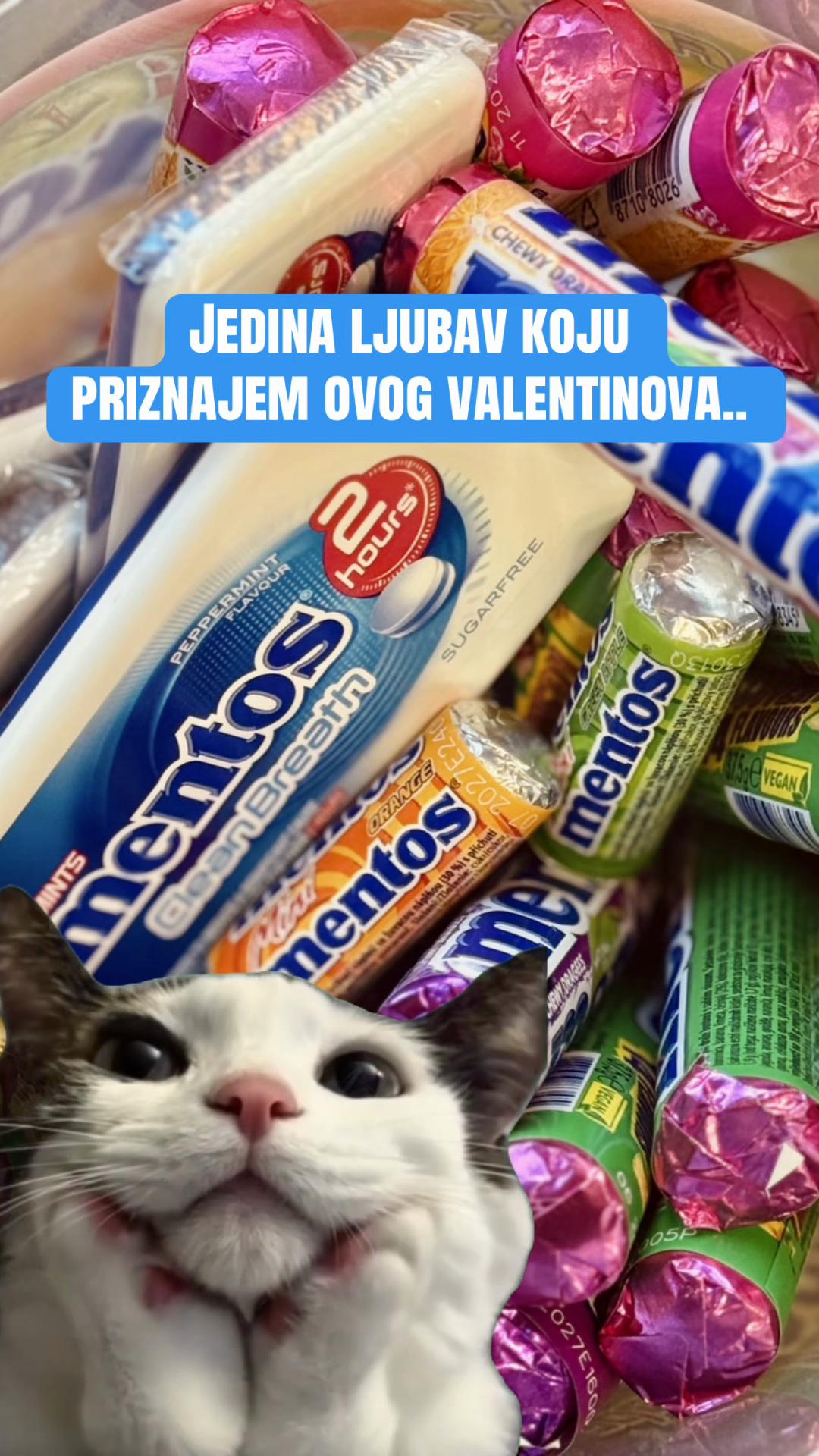 @mentos_bih