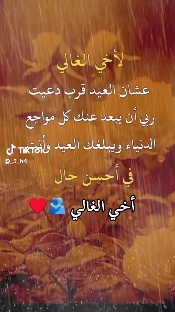 @sofya walid