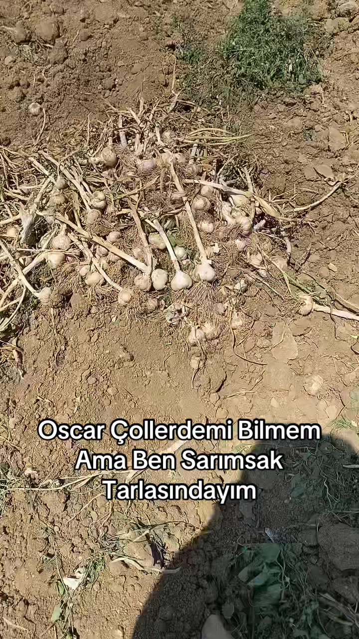 @Cennet Güzel