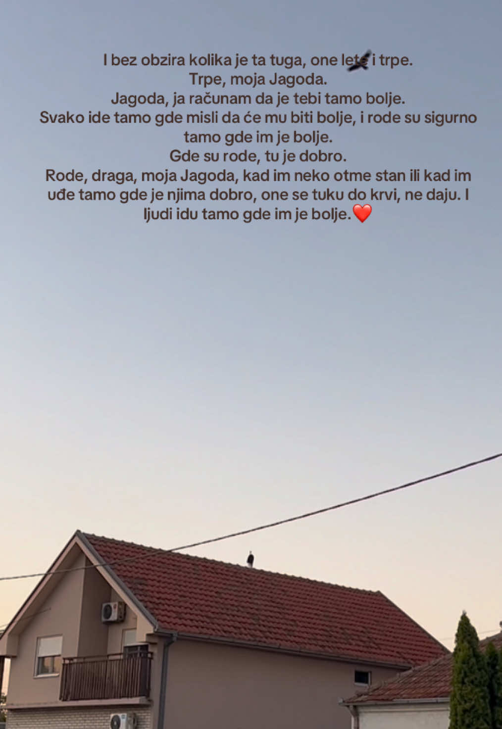 @elitizam