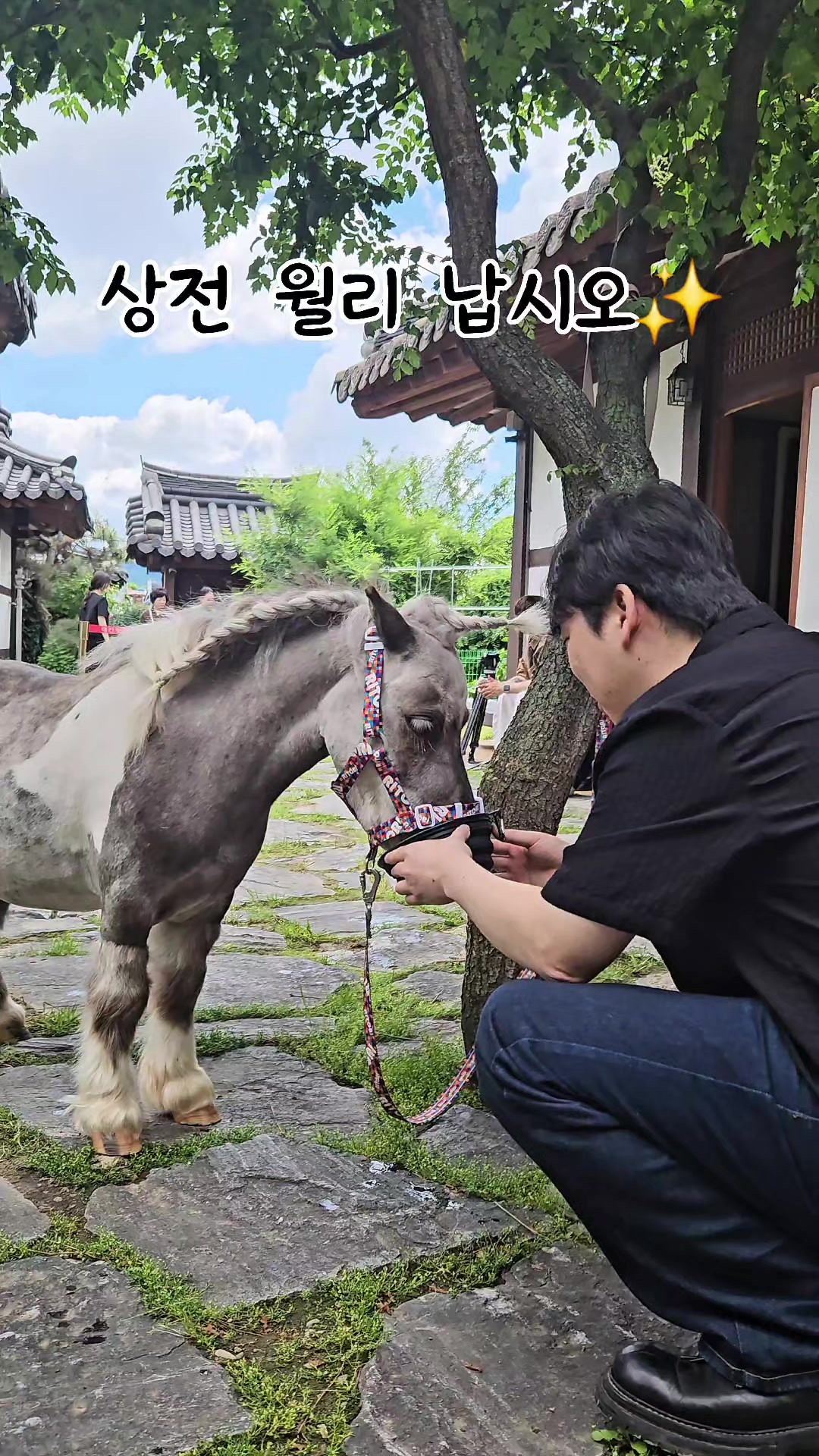 @작은말월리 | 월리플랍🦄