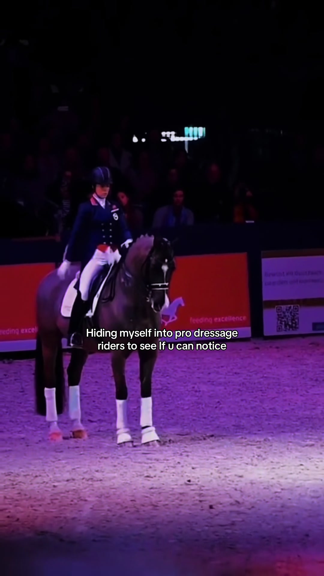 @annalisa.equestrian