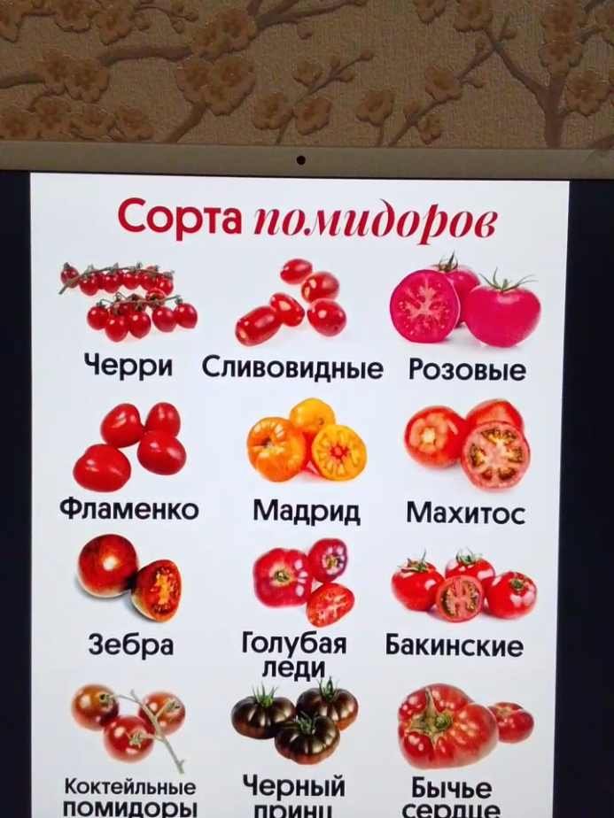 @Тейлор Фантазия