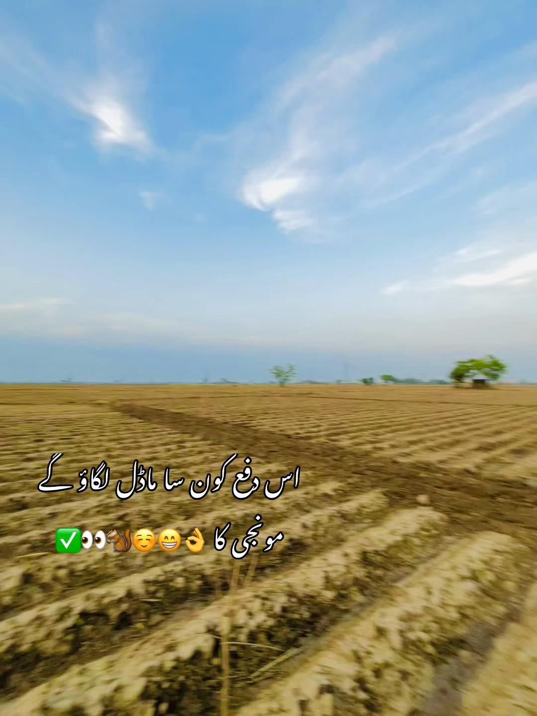 @shehrozependu1000