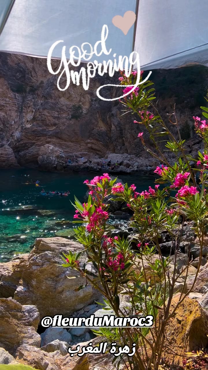 @زهرة المغرب