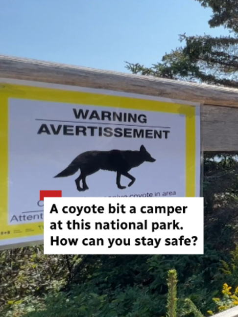 @CBC Nova Scotia