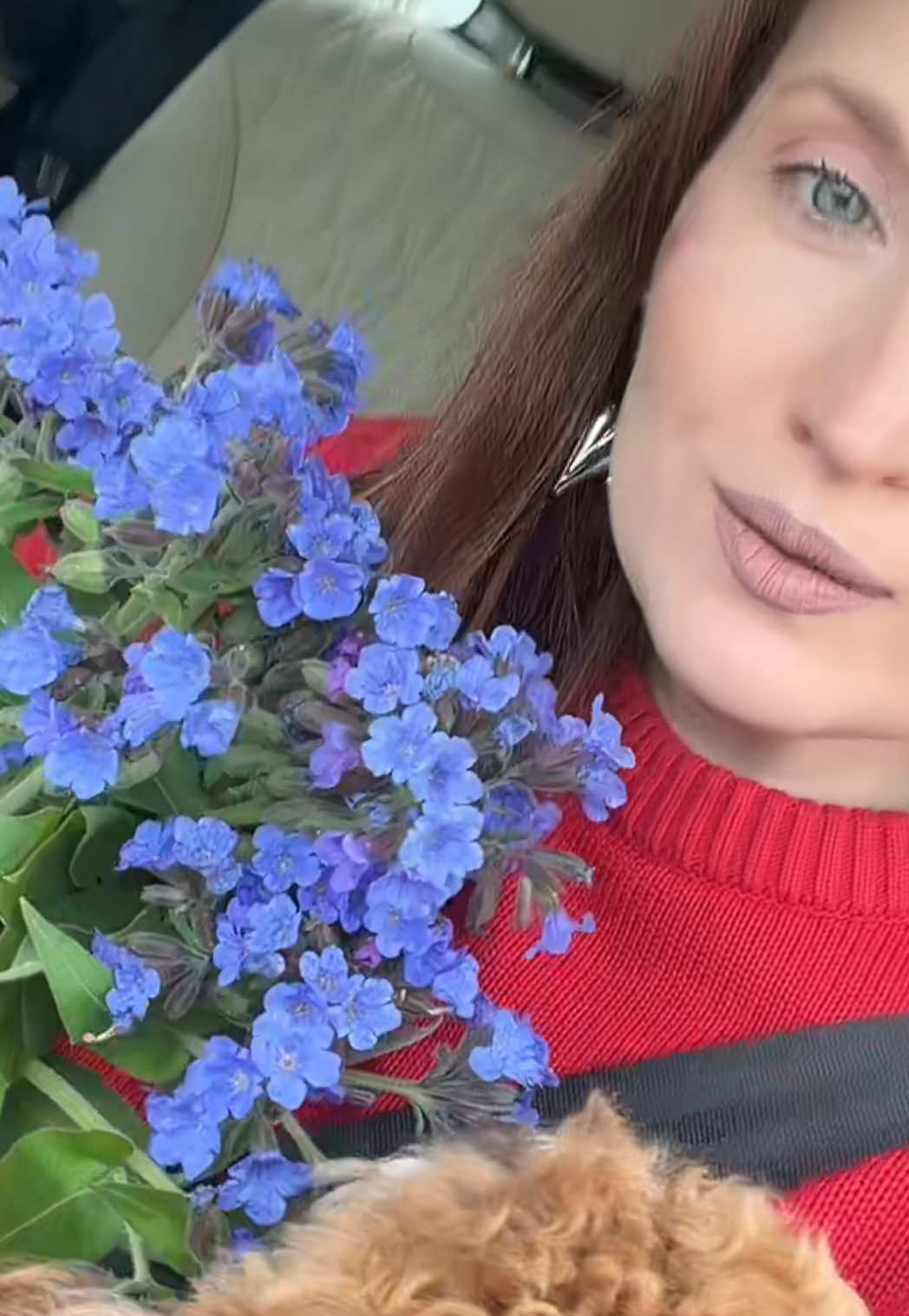 @user420721