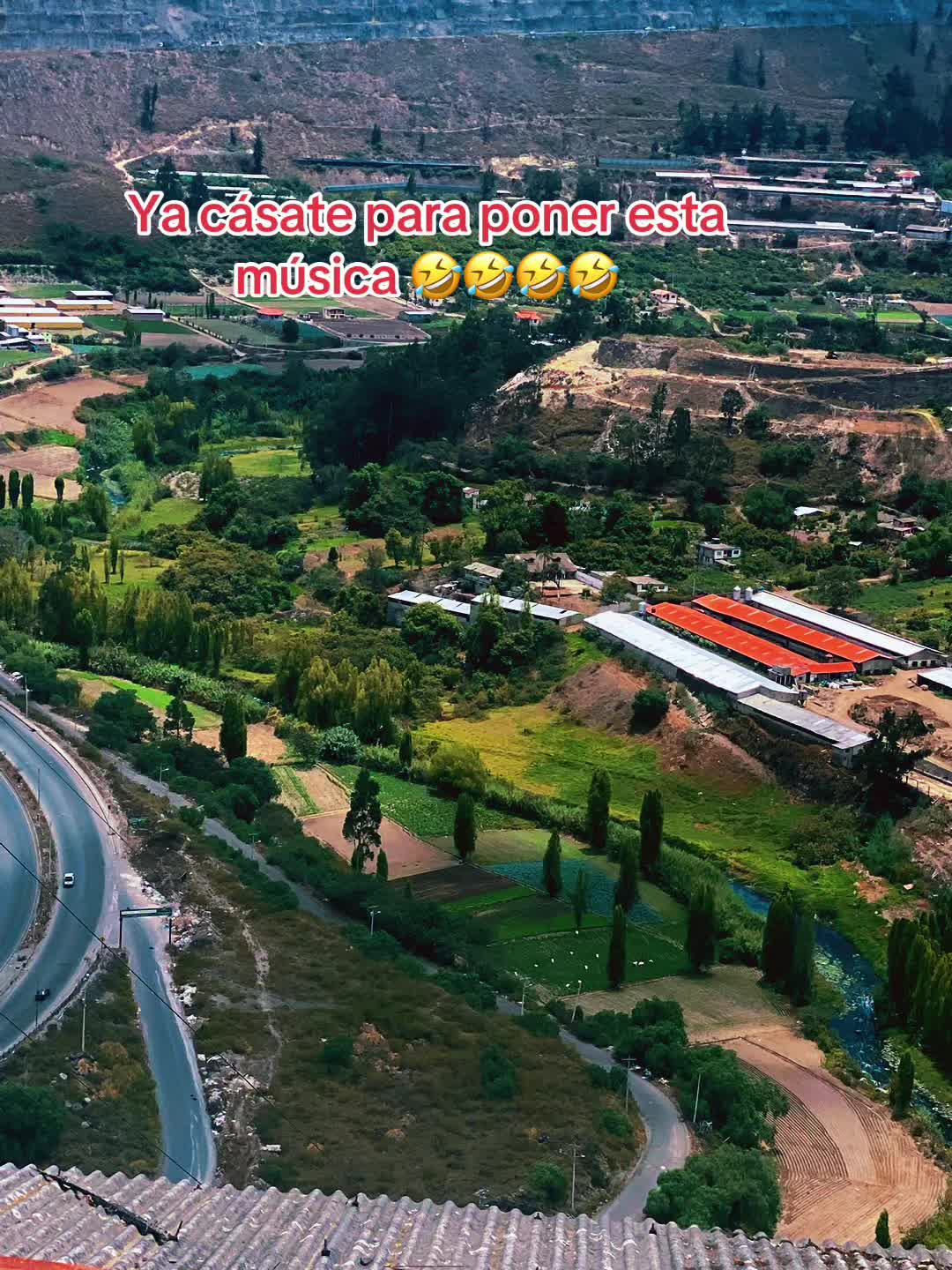 @angelauqui1