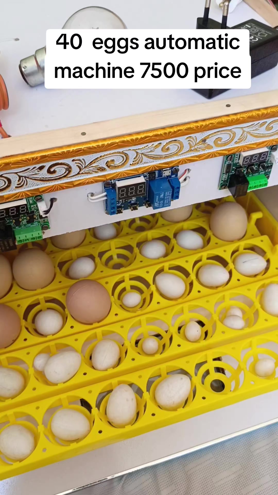 @Hazara Incubators