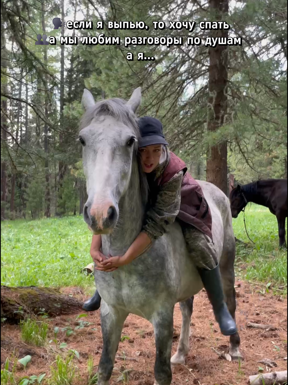 @tg: altaihorses