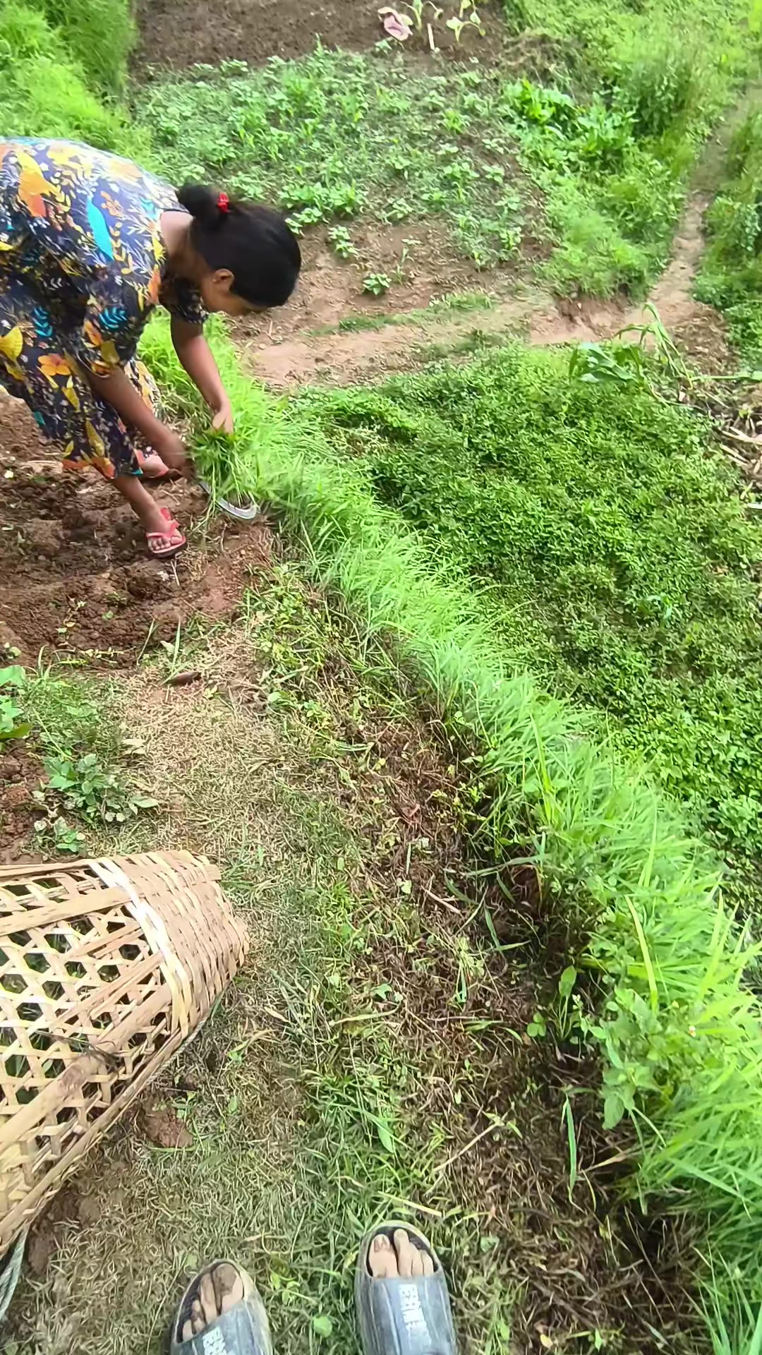 @@aashisvlogs