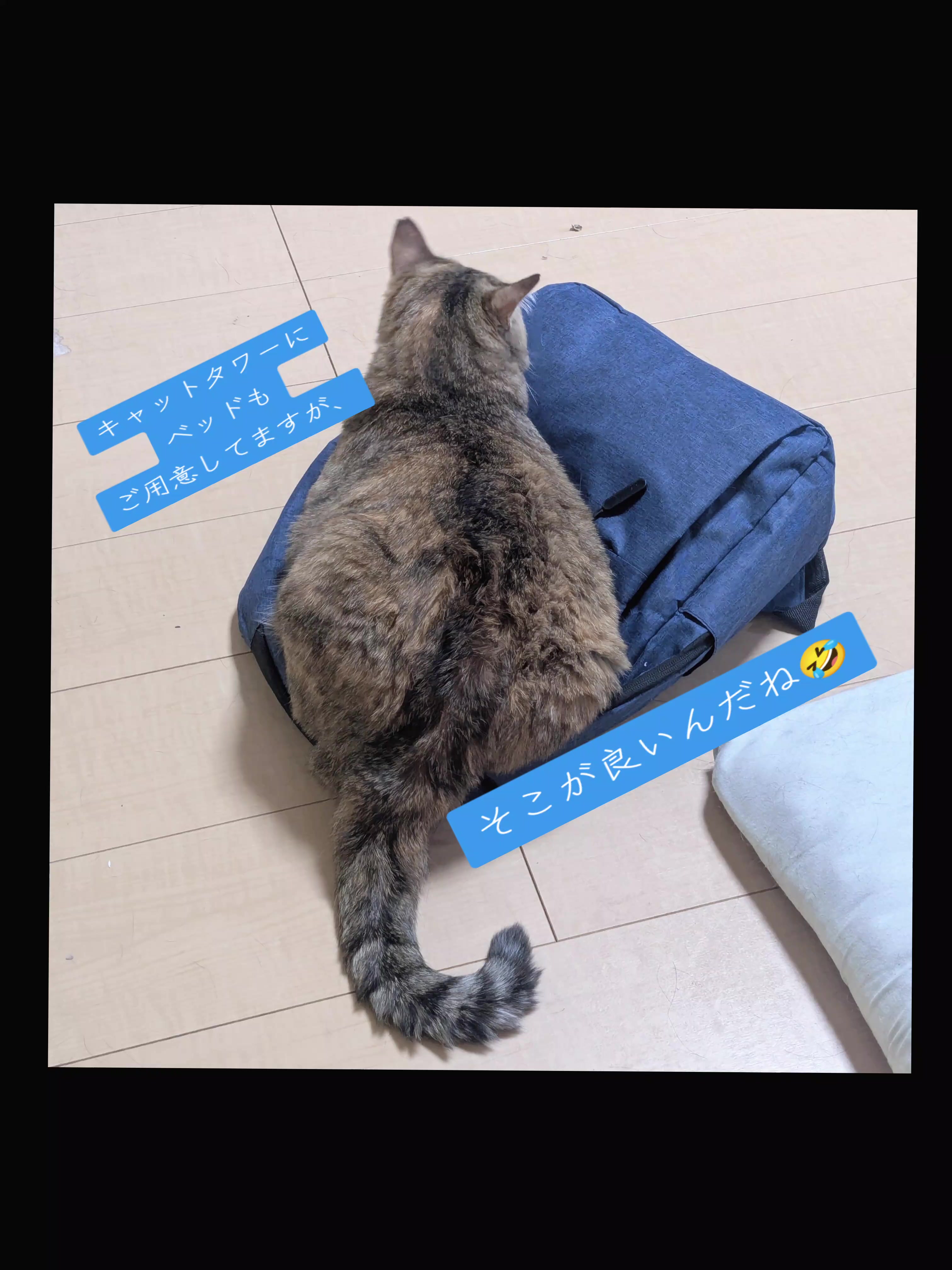 @キュキュ