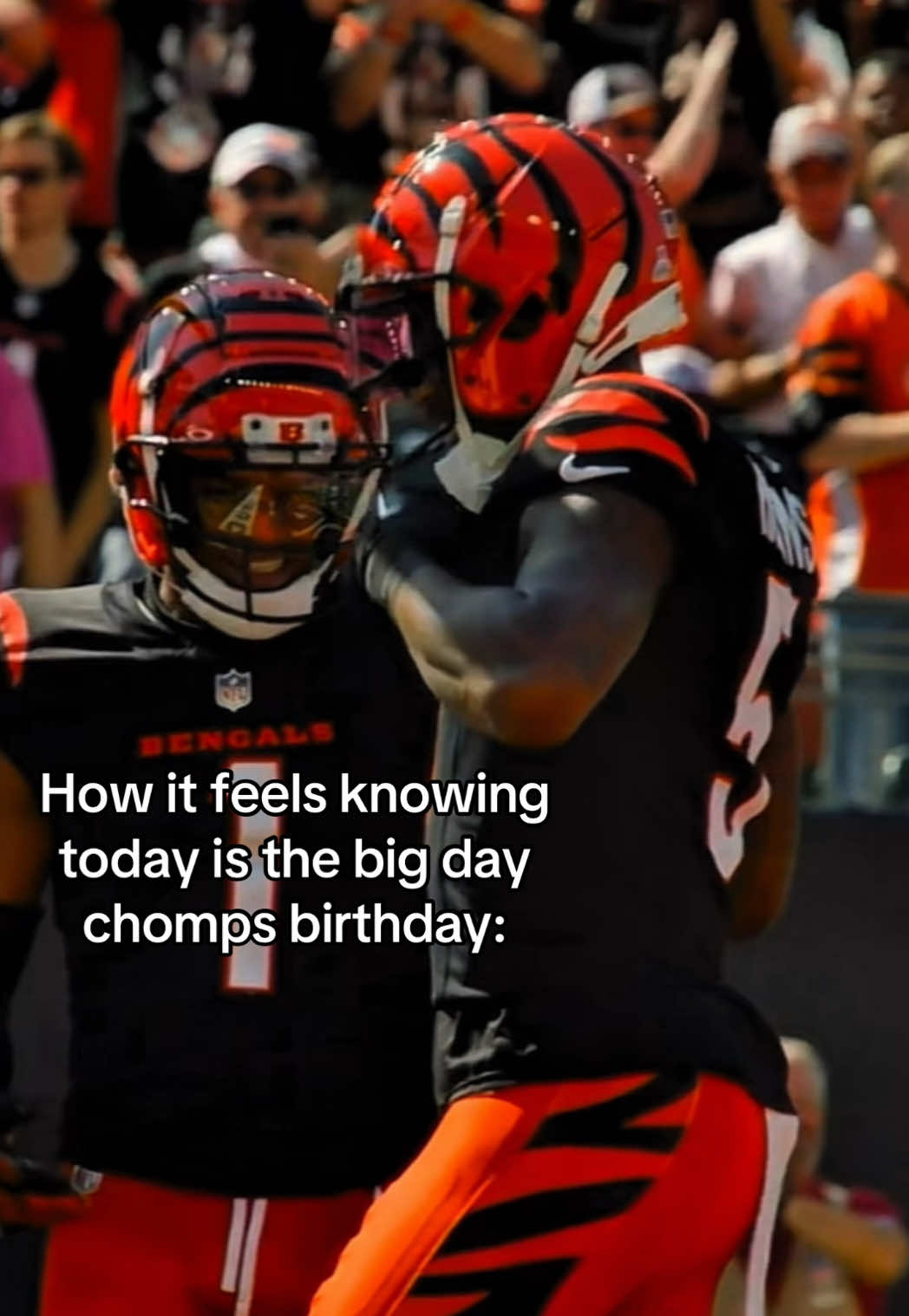 @Chomps