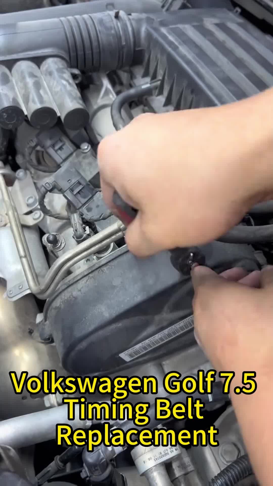 @auto parts