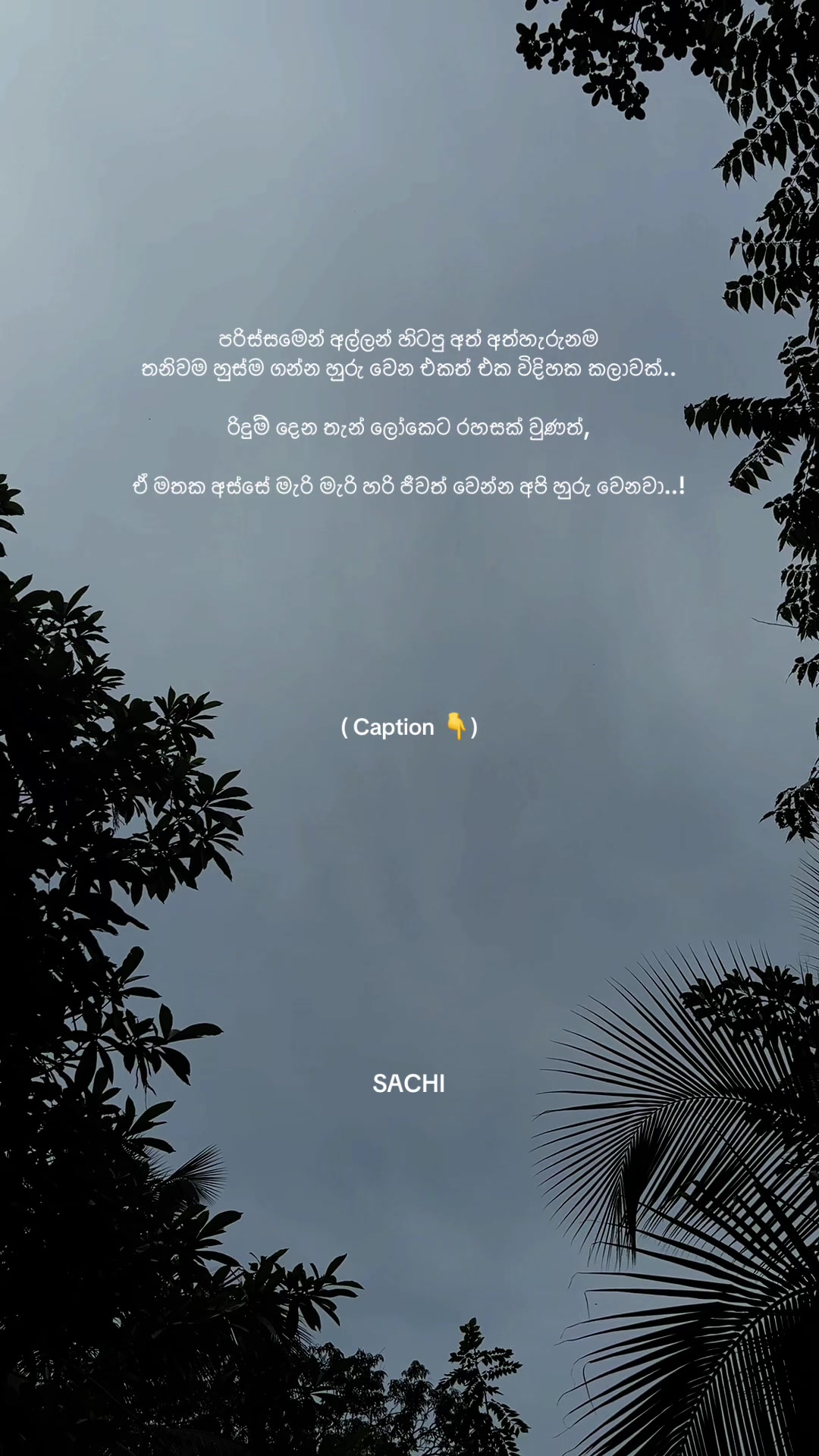 @𝙈𝙍 . 𝙎𝘼𝘾𝙃𝙄 :◉༒◉
