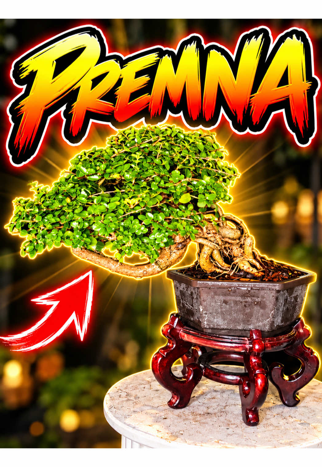 @BONZÁIMBI™️⛩️